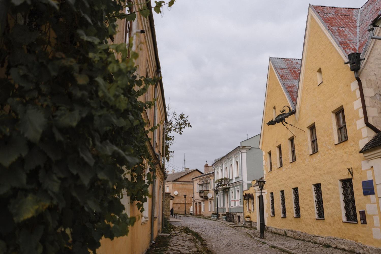 N O C T U R N E Apartment Kamianets-Podilskyi Bilik gambar
